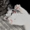 Логотип телеграм канала @photobatls76 — 𝘧𝘰𝘵𝘰 𝘣𝘢𝘵𝘭𝘺