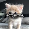 Логотип телеграм канала @photobattles444 — 🤍𝗽𝗵𝗼𝘁𝗼 𝗯𝗮𝘁𝘁𝗹𝗲𝘀🤍