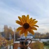 Логотип телеграм канала @photographerseyes — Глазами фотографа/ Фотограф Тюмень