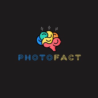 Telegram kanalining logotibi photosfact — PhotoFact
