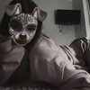 Логотип телеграм канала @photossforfake — фотки для фейка.🩷