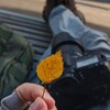 Логотип телеграм канала @photowalkway — Заметки фотолюбителя