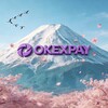 电报频道的标志 phub001_porndudecom — 韩国支付&泰国支付&韩国支付&巴基斯坦支付