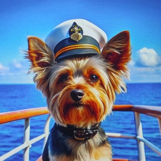 Telegram channel Пхукет🌴Морская рыбалка🐟Экскурсии на острова🏖 logo