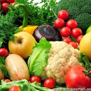 Лагатып тэлеграм-канала phytosante — Nutrition diététique🍏🍌🍉🥑🌱🌿🍀