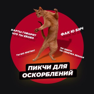 Логотип телеграм канала @pic4oskorbleniy — Пикчи для оскорблений