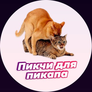 Логотип телеграм канала @pic4pickup — Пикчи для пикапа