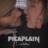 Logo of telegram channel picaplain — PICAPLaiN