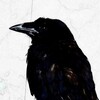 Логотип телеграм канала @pichugina_nadezhda — ПИЧУГИНЫ НАДЕЖДЫ🕊