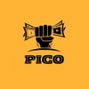 Logo of telegram channel pico_markett — 𝐏𝐈𝐂𝐎 ™