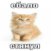 Логотип телеграм канала @picopupsek — Pic0 купмэтэр