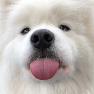 Логотип телеграм канала @pict_love — Пикчи с любовью