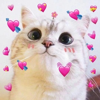 Логотип телеграм канала @pictlovee — пикчи для любви