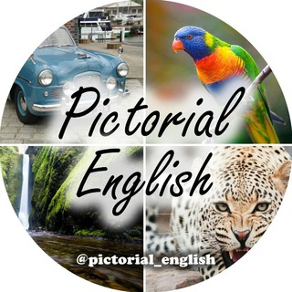 Logo of telegram channel pictorial_english — 💥Pictorial English💥