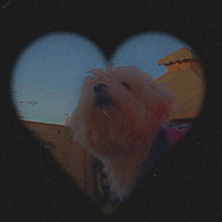 Логотип телеграм канала @pieceofpaper — 🏝️Ⳝⲩⲙⲁⲯⲏⲁя ⲕⲟⲥⲙⲉⲧυⲕⲁ 💖