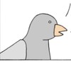 Logo of telegram channel pigeon3141 — πgeon