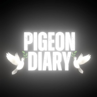Logo of telegram channel pigeondiary — Pigeon diary