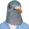 Logo of telegram channel pigeonmemes — Pigeon🐦Hub