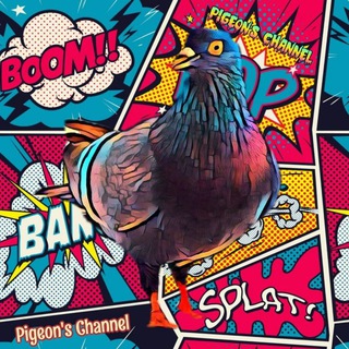 Logo of telegram channel pigeonschannel — Pigeon's channel