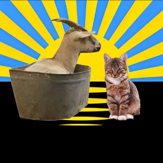 टेलीग्राम चैनल का लोगो pikchi0 — адмін спиздив меми