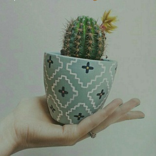 Telegram kanalining logotibi pikiruzb — Kelib Qolgan Fikrlar