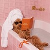 Логотип телеграм канала @pinclubai — Промты в стиле Pinterest| Нейромультики на заказ