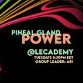 Logo saluran telegram pinealglandpower — Pineal Gland Power