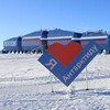 Логотип телеграм канала @pinguini_vedomosti — Пингвиньи ведомости🐧
