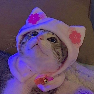 Логотип телеграм канала @pinterest_estetica — •|𝒂𝒆𝒔𝒕𝒆𝒕𝒊𝒌 𝒑𝒉𝒐𝒕𝒐|•