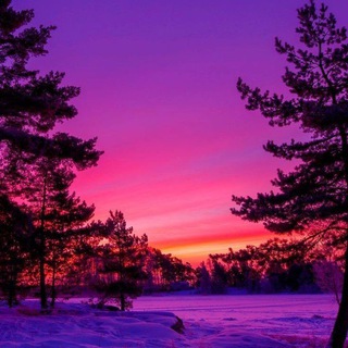 የቴሌግራም ቻናል አርማ pinteresthd_wallpapers — Wallpaper Pictures