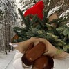 Логотип телеграм канала @pintforyou — my cozy pinterest💓