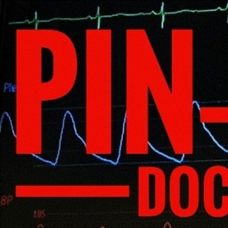 Logo des Telegrammkanals pinupdocs - Pin-Up-Docs