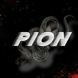 Логотип телеграм канала @pionhack — PION HACK | ПЛАТНЫЕ ЧИТЫ ДЛЯ PUBG MOBILE 🐍