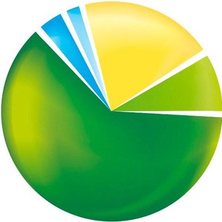 Логотип телеграм канала @pionliz — Главное о лизинге | Pioneer-leasing