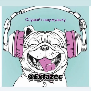 Логотип телеграм канала @pipez_music — Pipez_music🇺🇸