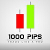 Logo of telegram channel pips1000fx1 — 1000PIPS BUILDER (FOREX_MARKET)