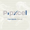 Logo of telegram channel pipxcelfx — Pipxcel ™ - Forex Signals