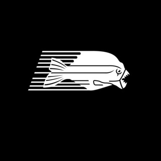 Логотип телеграм канала @piranharunningclub — PIRANHA RUNNING CLUB