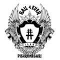 Logo saluran telegram pishronegari — Pishronegari