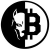 Telegram channel PITBIT | CHANNEL logo