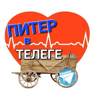 Логотип телеграм канала @piter_su — #МишуткаПИТЕР