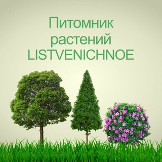 Логотип телеграм канала @pitomnik_listvenichnoe — Pitomnik LISTVENICHNOE