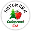 Логотип телеграм канала @pitomnik42 — «Сибирский сад» - питомник