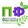 Логотип телеграм канала @pitomnik_firsovy — Питомник Фирсовых, Цветы Дмитров