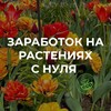 Логотип телеграм канала @pitomniki_s_nulya — Заработок на растениях с нуля