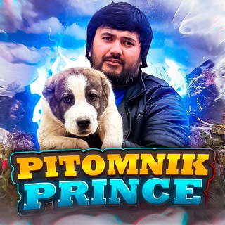 Telegram channel п-к ПРИНЦ расмий телеграм канали logo