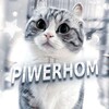 Логотип телеграм канала @piwerhom — Piwerhom