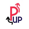 Логотип телеграм канала @pixelup_studio — PixelUp Studio