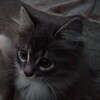 Логотип телеграм канала @pixisad — 𝐲𝐨𝐮.𝐲𝐨𝐮