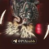电报频道的标志 pixiutyc1 — 貔貅查档通知频道 @PiXiubb